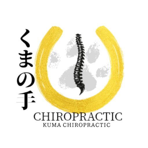 くまの手カイロプラクティック